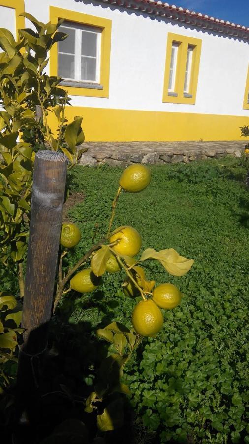 Casa Das Amoras Santo António das Areias Exteriér fotografie